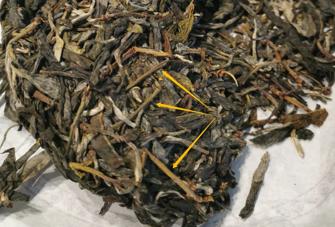 普洱茶的葉底有茶梗，就是茶不好嗎？