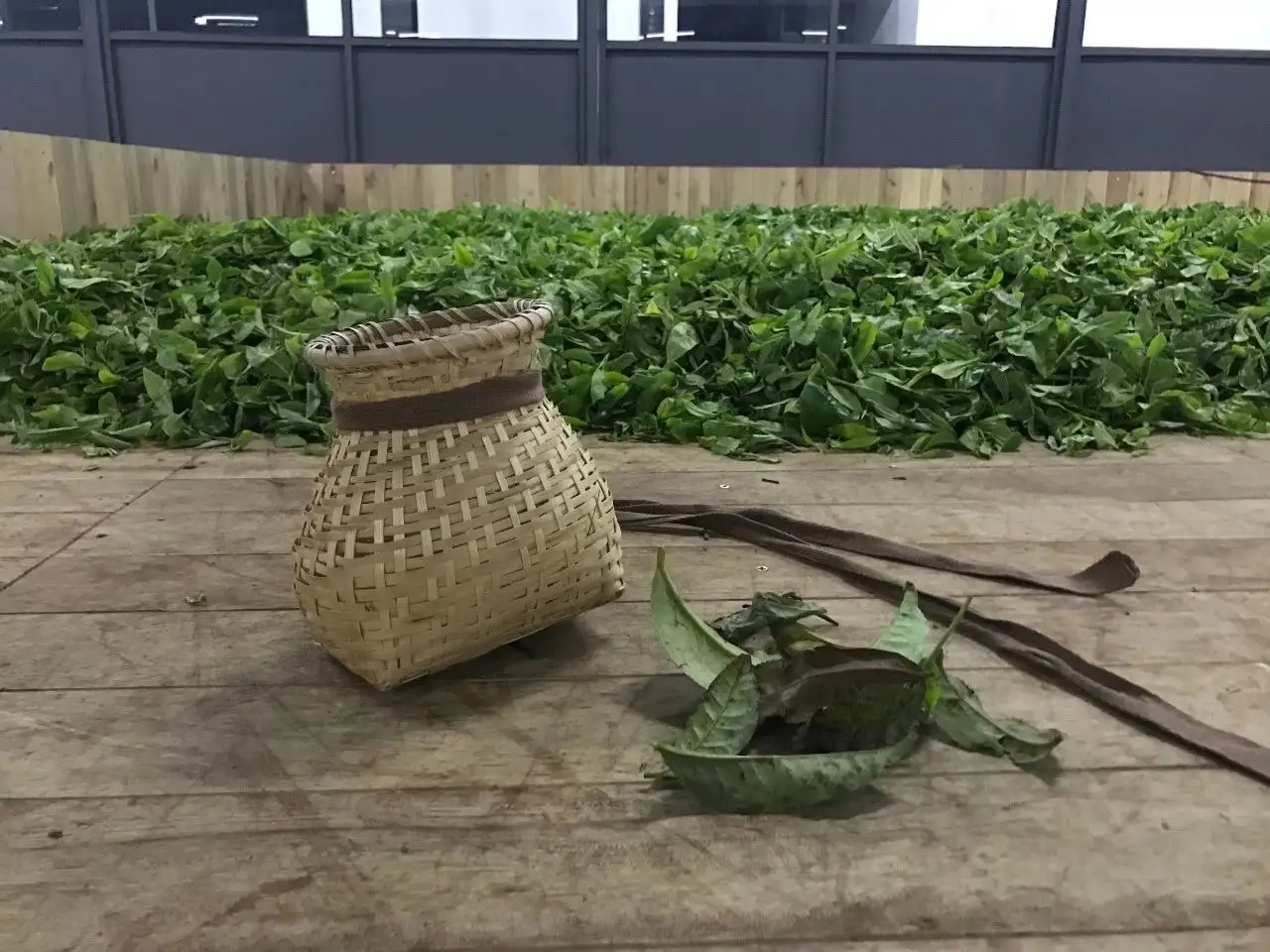 普洱茶，如果不談山頭，我們談什么？