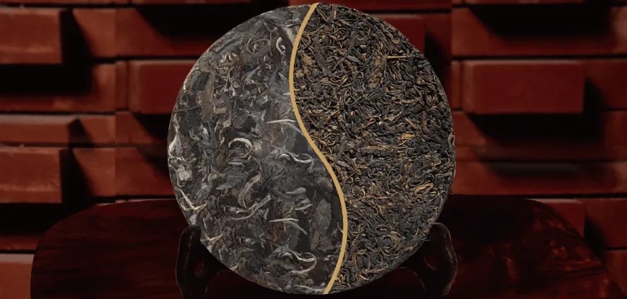 一入普門深似海？入普洱門前，你需要了解這些