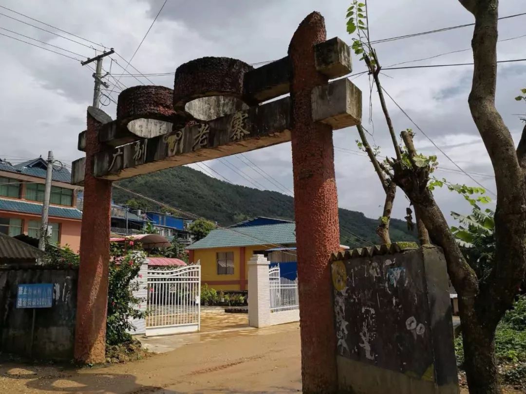 2023年廣別老寨古樹春茶價格多少？