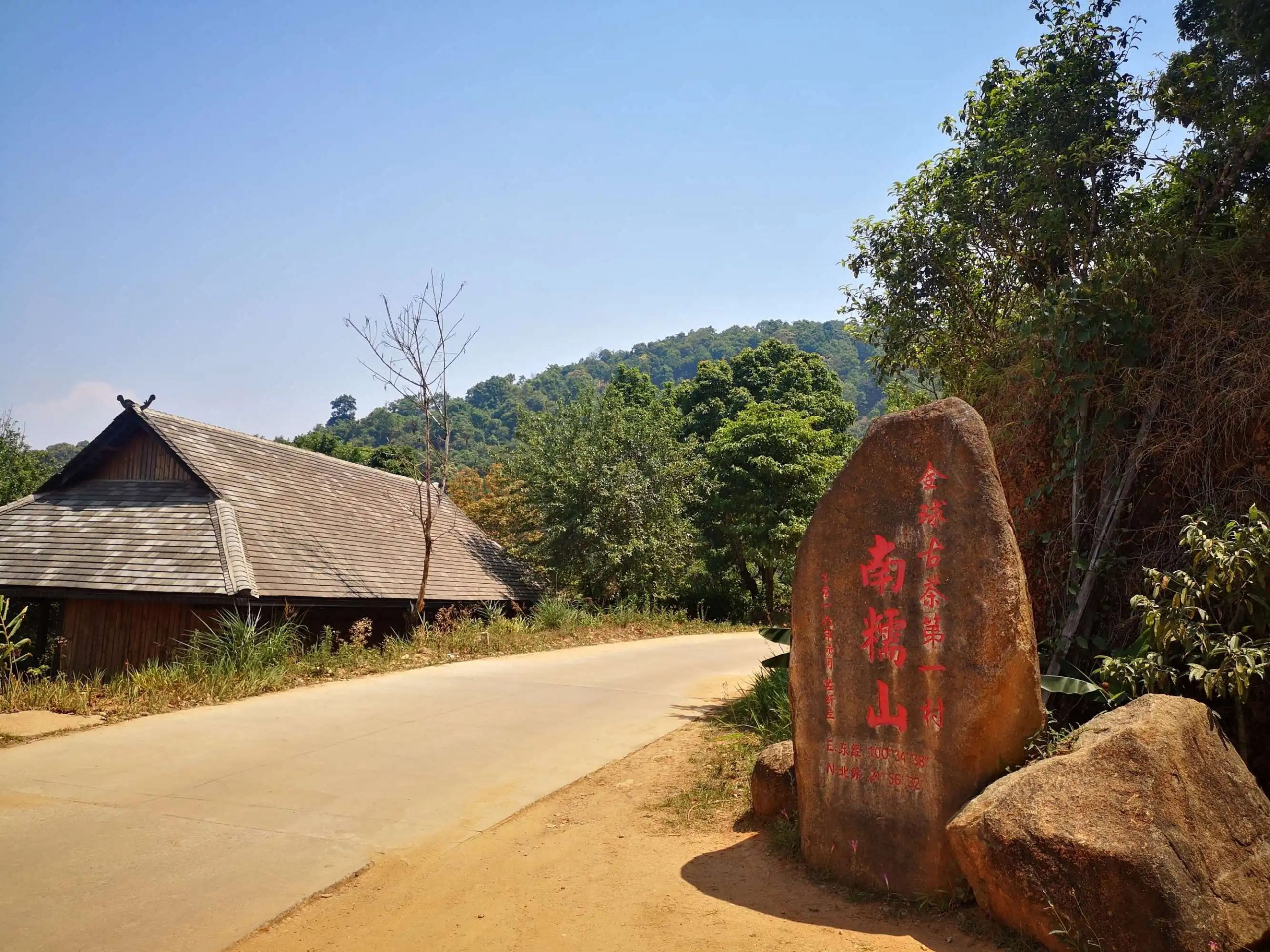 2023年南糯山古樹(shù)春茶品質(zhì)怎么樣？