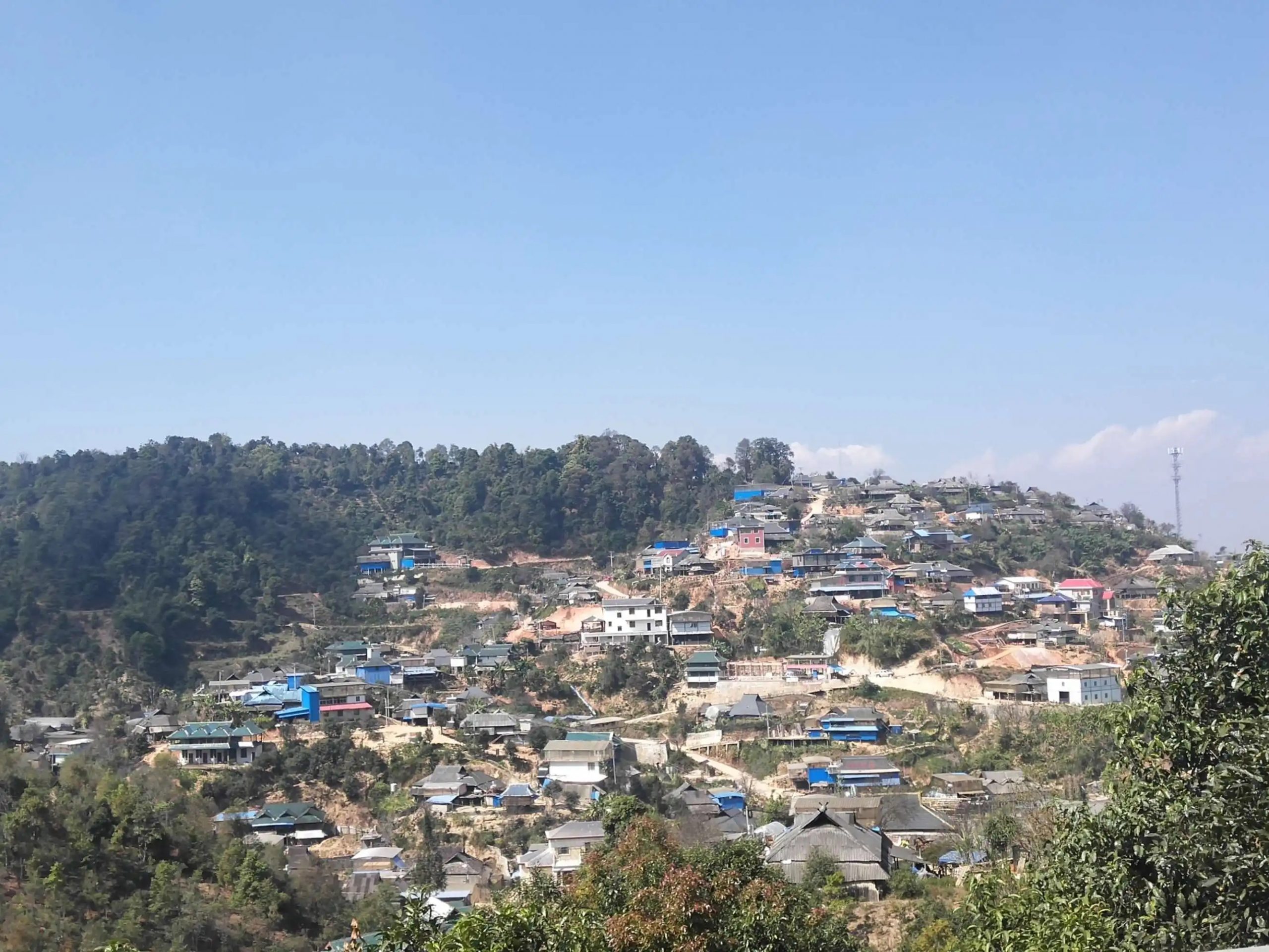 2023年帕沙古樹(shù)春茶品質(zhì)如何？