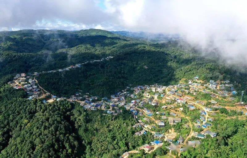 2023年帕沙古樹(shù)春茶口感怎么樣？