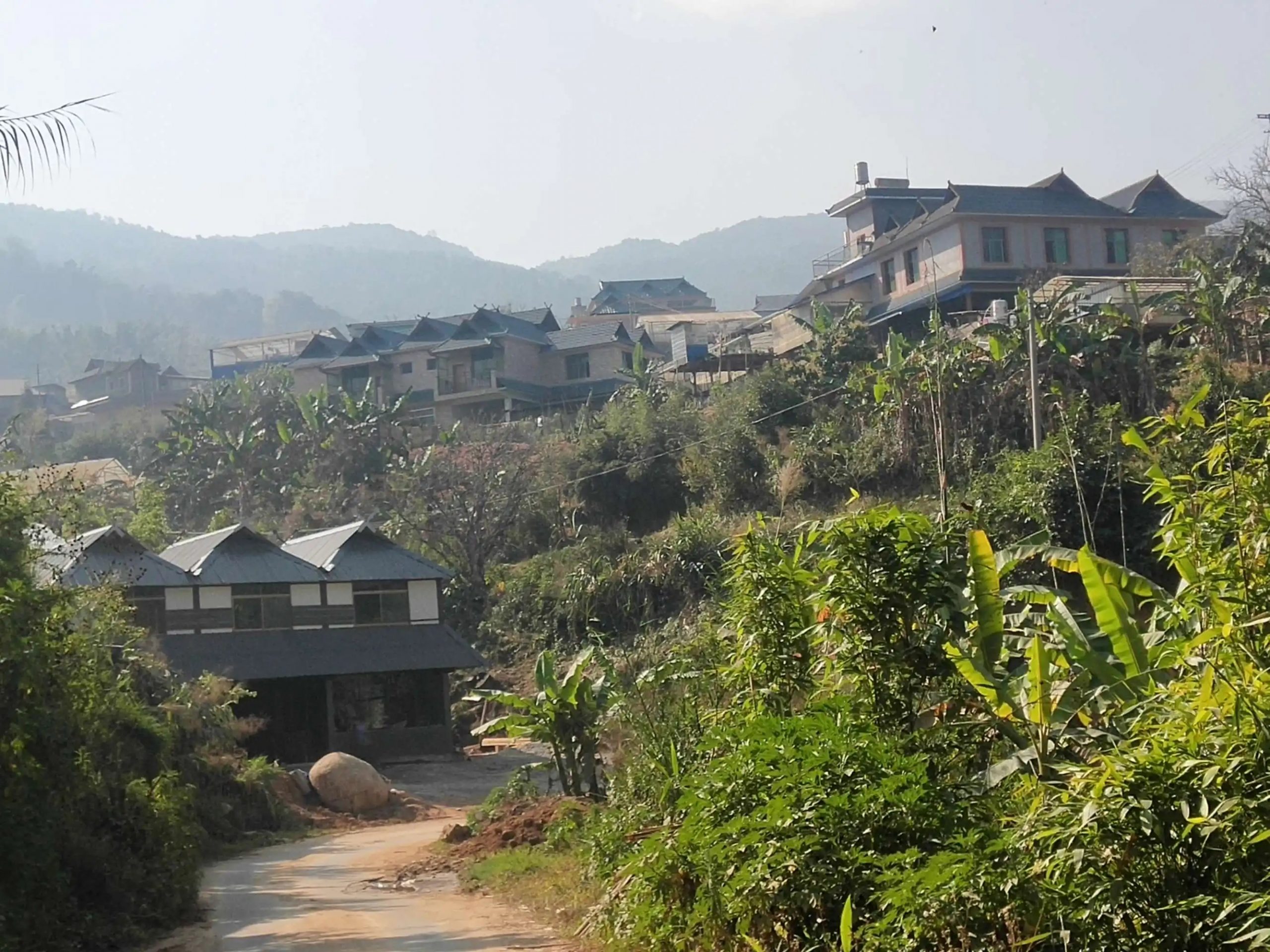 2023年帕沙古樹春茶價格多少錢？