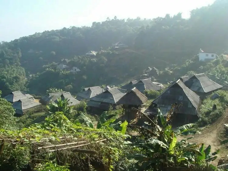 2023年帕沙古樹春茶多少一公斤？