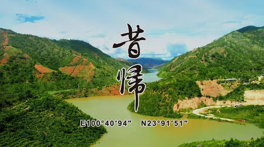 2023年昔歸古樹(shù)春茶品質(zhì)如何？