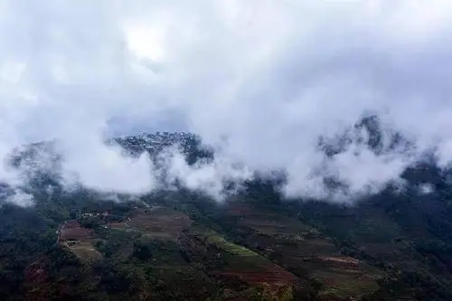 2023年勐庫(kù)大忠山古樹(shù)春茶口感如何？