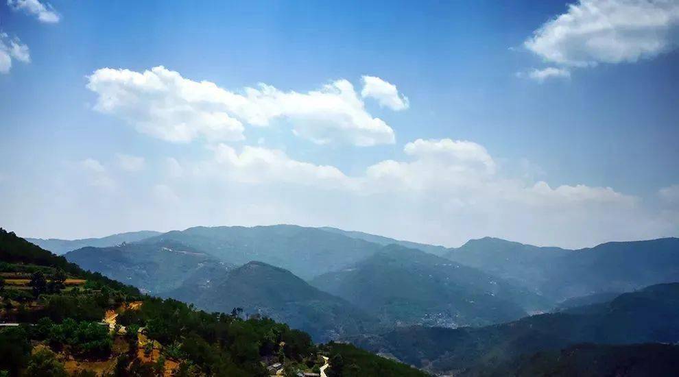 2023年勐庫大忠山古樹春茶價格是多少？