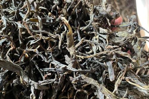 2023年鎮(zhèn)沅老烏山古樹春茶多少一公斤？